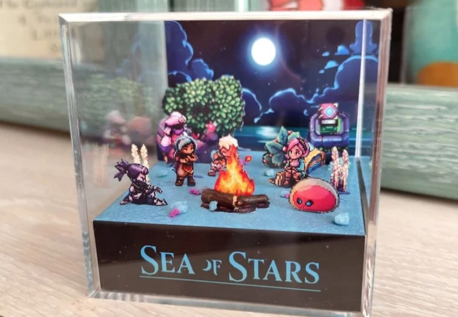 Diorama Mar de Estrelas – photo 4